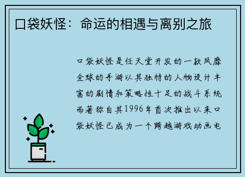 口袋妖怪：命运的相遇与离别之旅