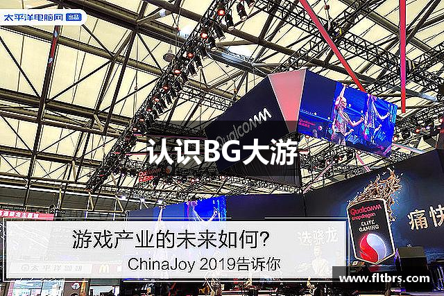 认识BG大游